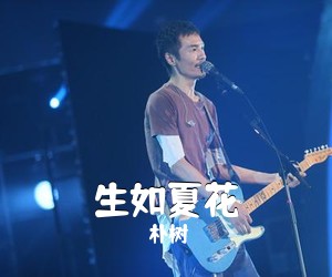 朴树《生如夏花吉他谱》