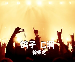 徐秉龙《鸽子  C调吉他谱》(C调)