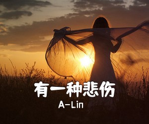 A-Lin《有一种悲伤吉他谱》(C调)