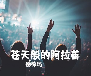 德德玛《苍天般的阿拉善简谱》