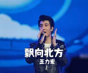 王力宏《飘向北方吉他谱》(C调)