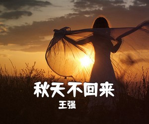 王强《秋天不回来吉他谱》(G调)