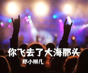 郑小辫儿《你飞去了大海那头吉他谱》