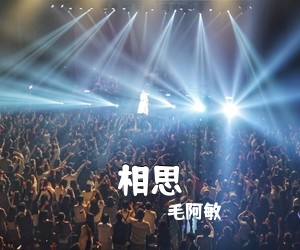 毛阿敏《相思吉他谱》(C调)