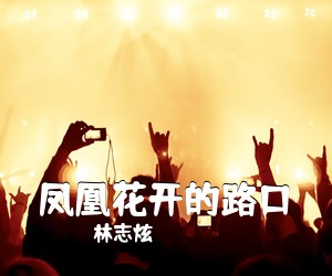 林志炫《凤凰花开的路口吉他谱》(G调)