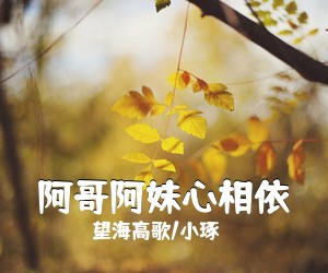 望海高歌/小琢《阿哥阿妹心相依简谱》