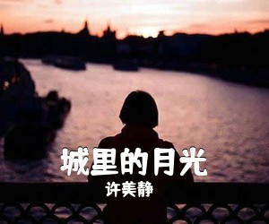 许美静《城里的月光吉他谱》(G调)