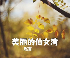 赵真《美丽的仙女湾简谱》