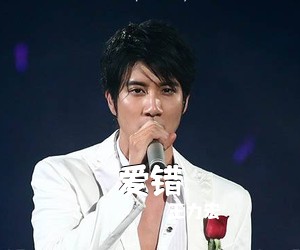 王力宏《爱错吉他谱》(C调)