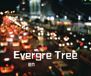 en《Evergre Tree吉他谱》