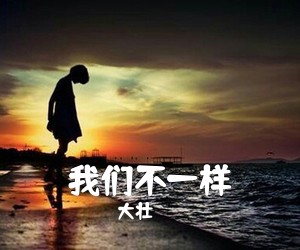 大壮《我们不一样吉他谱》(G调)