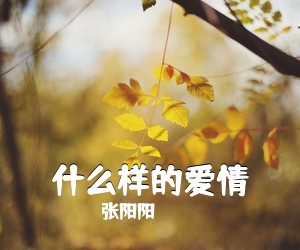 张阳阳《什么样的爱情吉他谱》(G调)