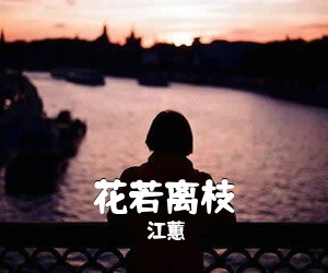 江蕙《花若离枝吉他谱》