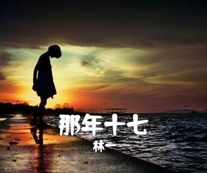 林一《那年十七吉他谱》