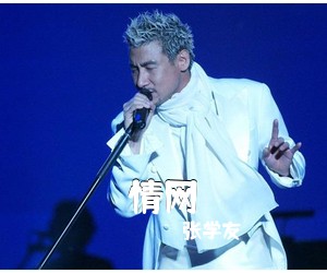 张学友《情网吉他谱》(C调)