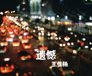 王佳杨《遗憾吉他谱》(G调)