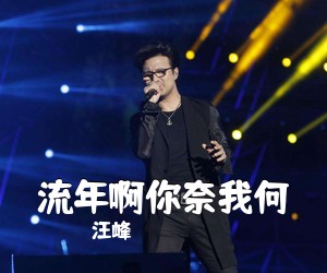 汪峰《流年啊你奈我何吉他谱》(G调)