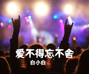白小白《爱不得忘不舍吉他谱》(C调)