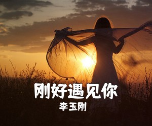 李玉刚《刚好遇见你吉他谱》(C调)