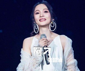 张韶涵《阿刁吉他谱》(G调)