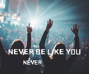 NEVER《NEVER BE LIKE YOU尤克里里谱》(C调)