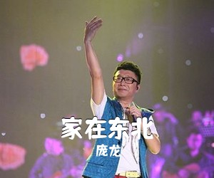 庞龙《家在东北吉他谱》(C调)