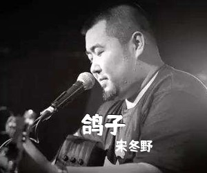 宋冬野《鸽子吉他谱》