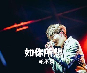 毛不易《如你所想吉他谱》(C调)
