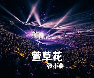 张小斐《萱草花吉他谱》(C调)