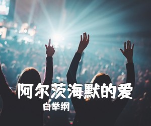 白举纲《阿尔茨海默的爱吉他谱》(C调)