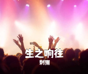 刺猬《生之响往吉他谱》(C调)