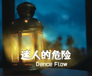 Dance Flow《迷人的危险吉他谱》(G调)