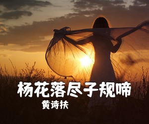黄诗扶《杨花落尽子规啼吉他谱》(G调)