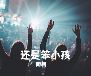 南柯《还是笨小孩吉他谱》(C调)