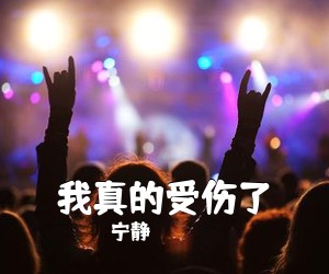 宁静《我真的受伤了吉他谱》(G调)