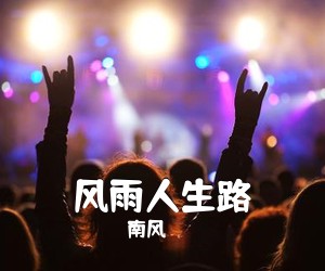 南风《风雨人生路吉他谱》(G调)