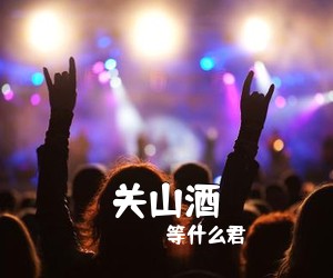 等什么君《关山酒吉他谱》(C调)