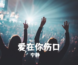 宁静《爱在你伤口吉他谱》(A调)