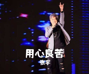 张宇《用心良苦吉他谱》(G调)