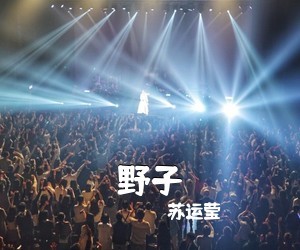 苏运莹《野子吉他谱》(C调)