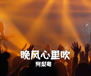 阿梨粤《晚风心里吹吉他谱》(G调)