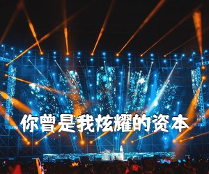 《你曾是我炫耀的资本吉他谱》(G调)