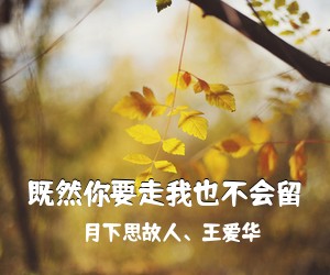 月下思故人、王爱华《既然你要走我也不会留简谱》