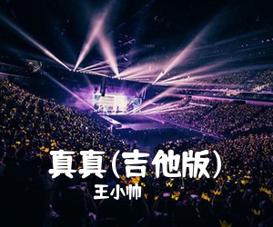 王小帅《真真(吉他版)吉他谱》(G调)
