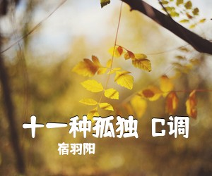 宿羽阳《十一种孤独  C调吉他谱》(C调)