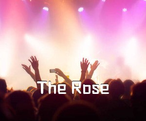 《The Rose吉他谱》(C调)