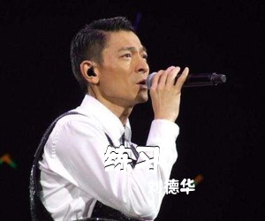 刘德华《练习吉他谱》(G调)
