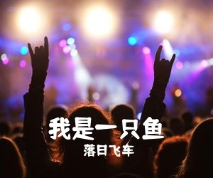 落日飞车《我是一只鱼吉他谱》(G调)
