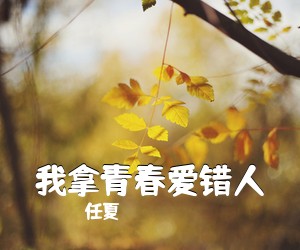 任夏《我拿青春爱错人吉他谱》(G调)