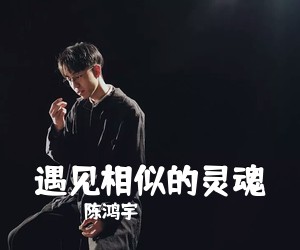 陈鸿宇《遇见相似的灵魂吉他谱》(G调)